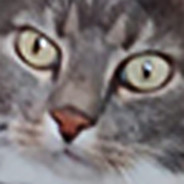 MrMalphas™