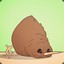 Kingkiwi4